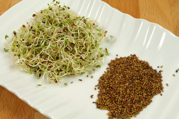 Alfalfa sprouts and seeds