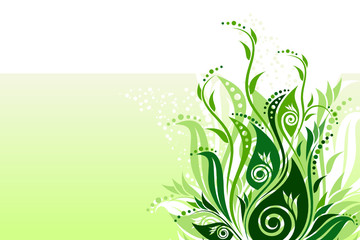 Vector floral background illustration