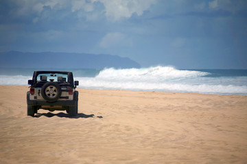 Offroad Vehicle on a Remote Beach in Hawaii - 13272315