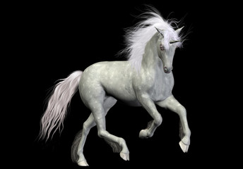 Obraz na płótnie Canvas White unicorn