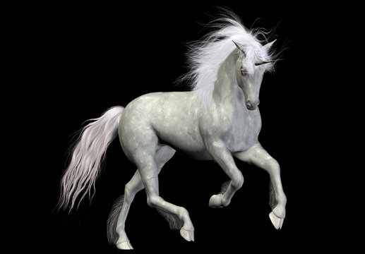 White unicorn
