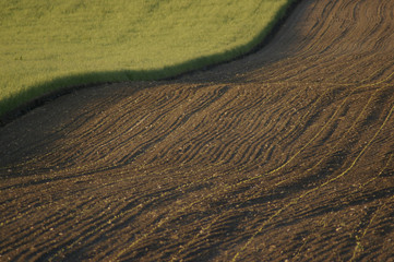 Feldimpression rechts