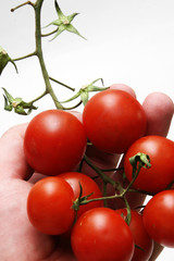 rote tomaten