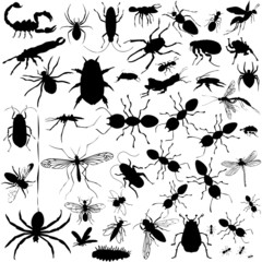 37 pieces of vectoral bug silhouettes.