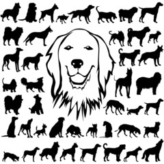 44 pieces of vectoral dogs silhouettes.