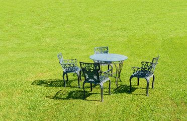 Obraz na płótnie Canvas Tea time, Courtyard grassland,