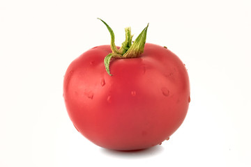 Tomato