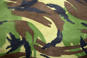 Jungle camouflage © lloyd fudge