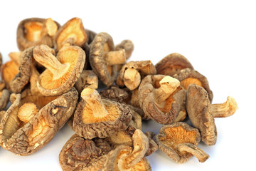 champignons séchées