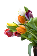 Obraz premium bouquet of the fresh tulips