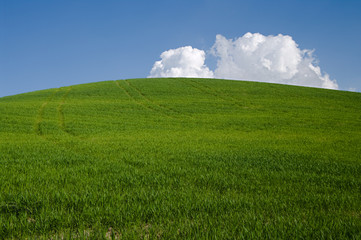 green hill with white clouds