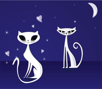 Cats in the night