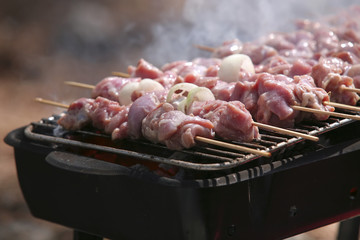 shish kebabs on bbq