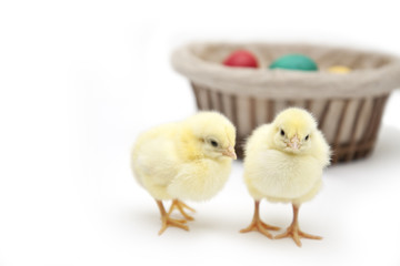 easter chiken