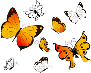 Floral abstraction with butterflies