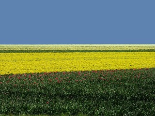 Fototapeta premium printemps