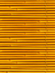 Tree trunks a bamboo