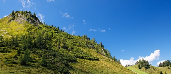 Lush green hill in bright summer day in Alps
