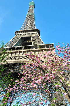 Tour Eiffel, Paris