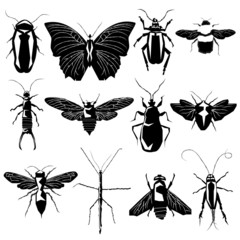 Insects and bugs in vector silhouette