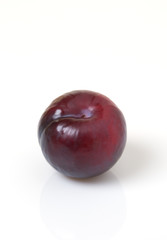 Fototapeta premium Plum