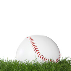 A baseball ball in the grass