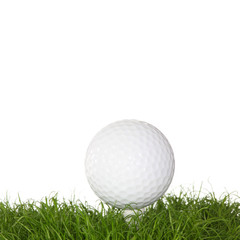 A golf ball in the grass