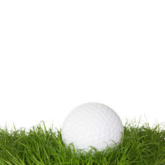 A golf ball in the grass