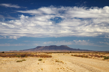 Fototapeta na wymiar Pustynia Kalahari, Namibia