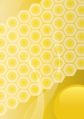 Honey honeycombs