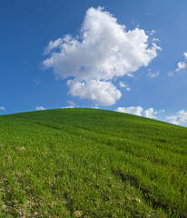 green hill with white clouds