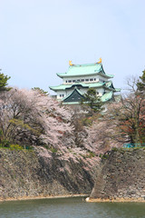 nagoya castle and cherry blossoms