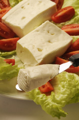 Formaggio Stracchino ( Stracch )  su letto di verdure