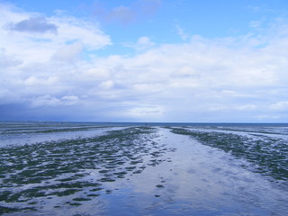 the reflux in the binic, france