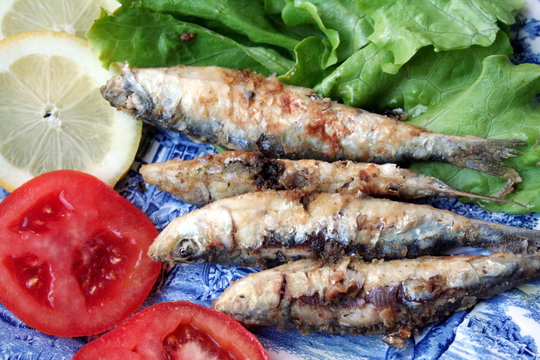 Sardinhas-Sardine-Pilchard-Fish-Sardina-Peixe-Sardinha