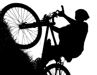Obraz premium velo