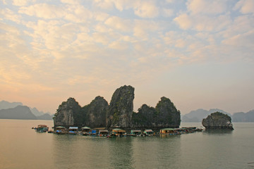 Fototapeta premium halong,village côtier