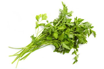 Fresh Vegetables, parsley