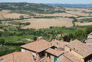 Fototapeta na wymiar Toscana, scorcio di campagna