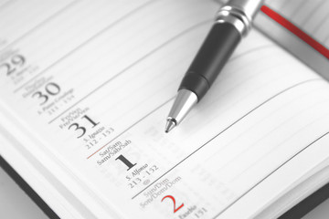 pen on an open diary