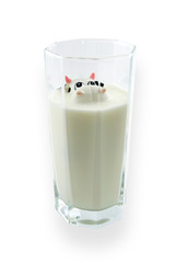 Cow in a glass of milk