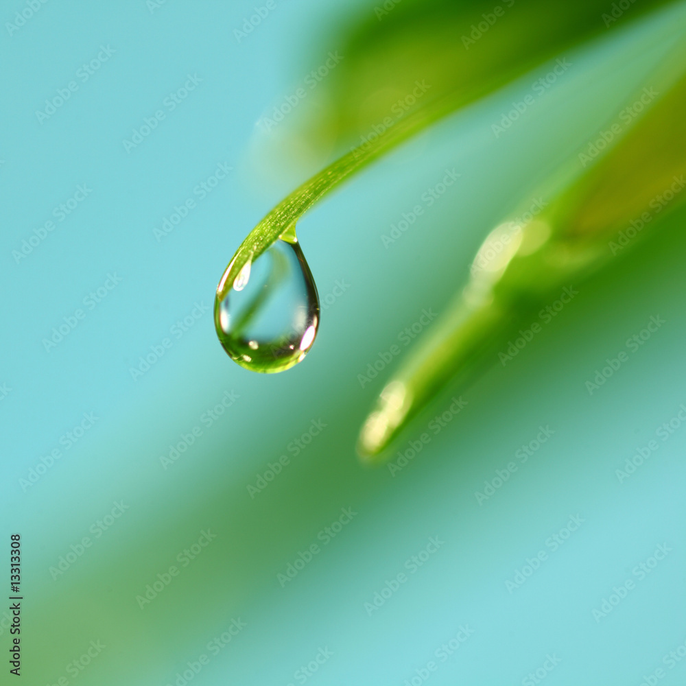 Wall mural big water drop