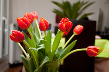 Bouquet de tulipe