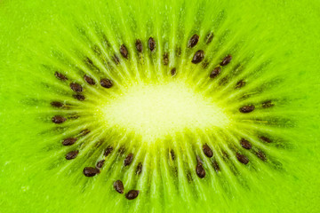 Macro of kiwi fruit