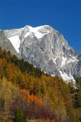 Grand Jorasse in autunno