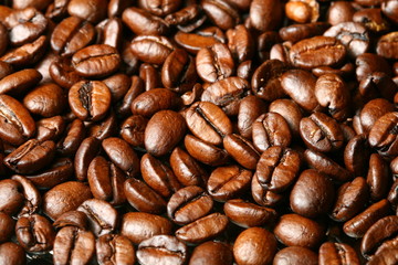 coffee beans