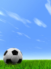 Fototapeta premium 3D black soccer ball,green grass and a blue sky with clouds