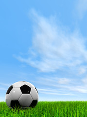 3D black soccer ball,green grass and a blue sky with clouds
