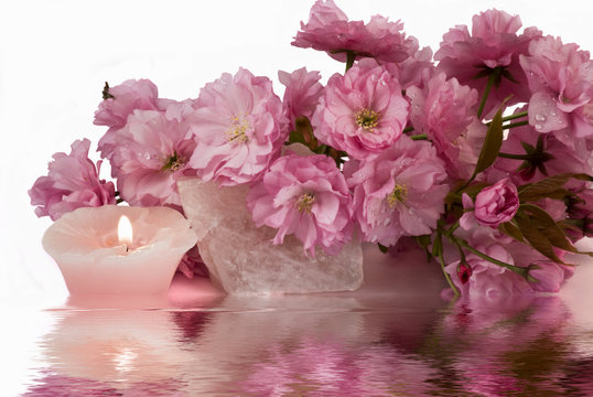 sfumature colorate di rosa