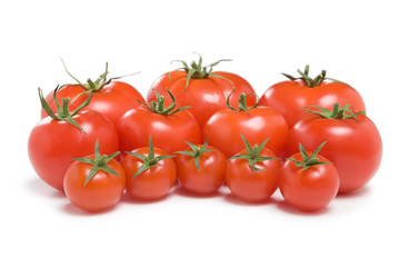 Group of tomatoes-24